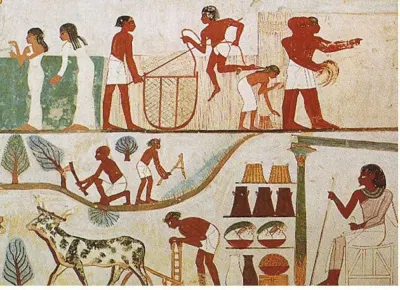 Harvest scene from the Tomb of Nakht (18th Dynasty), Thebes