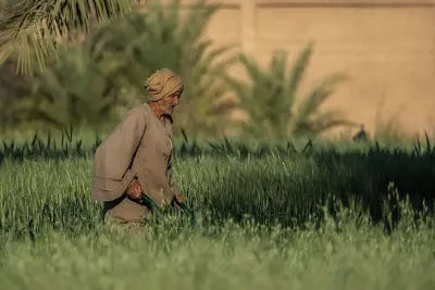 Egyptian Farmer
