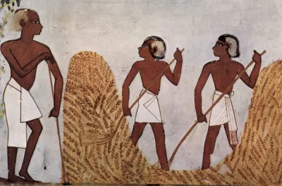 Agricultural painting from the burial chamber of Menna (TT69), 18th Dynasty