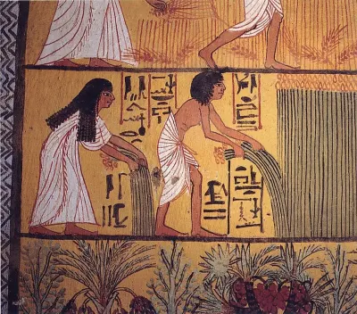 Harvesting scene from the tomb of Sennedjem