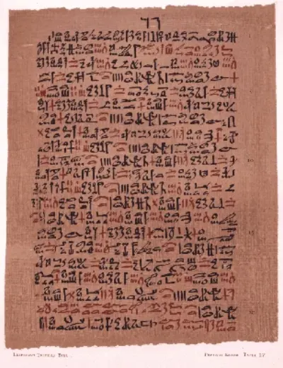Ebers Papyrus everything from wound treatment to internal complaints