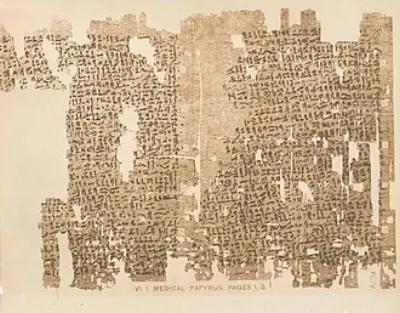 Kahun Gynaecological Papyrus (PKahun VI 1-12)